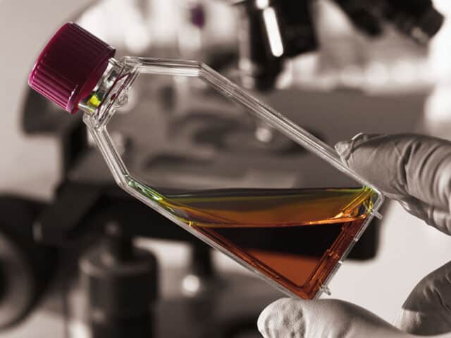 Fluid Testing and Oil Recycling Facilities - oil testing process