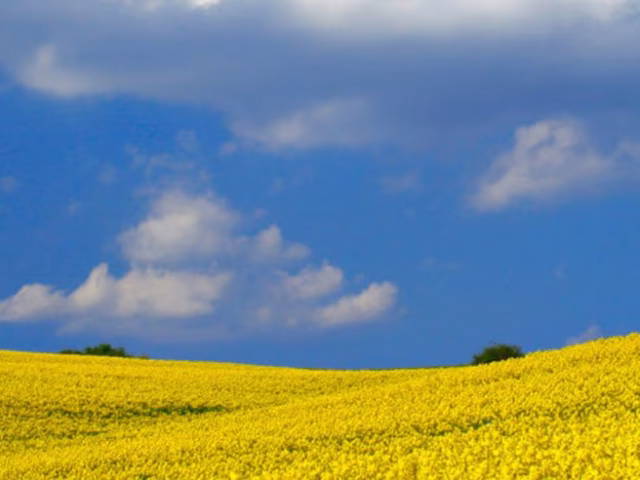 Castrol Performance Bio Lubricants: Sustainable, High-Performing Solutions for Modern Industry